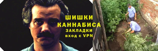круглые Корсаков