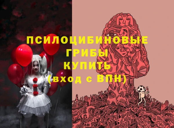 круглые Корсаков