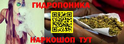 тгк Заволжье